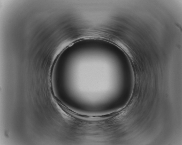 X0000096461485200801311501
