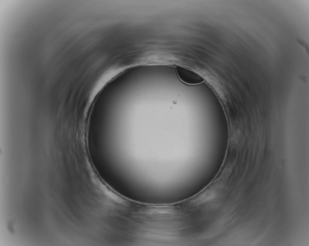 X0000096461486200801311501