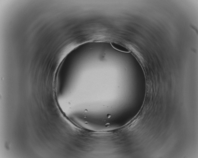 X0000096461487200801311501