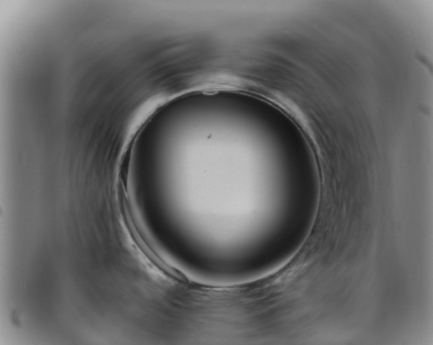X0000096461488200801311501