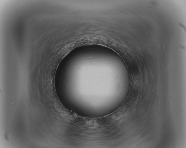 X0000096461489200801311501