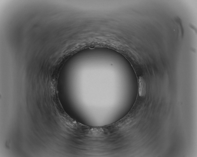 X0000096461491200801311501