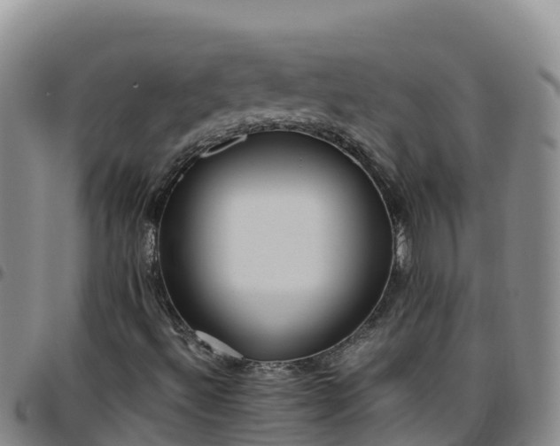 X0000096461492200801311501