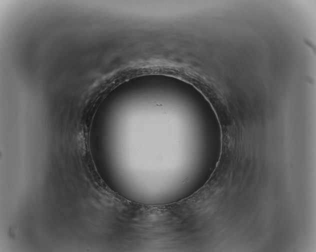 X0000096461493200801311501