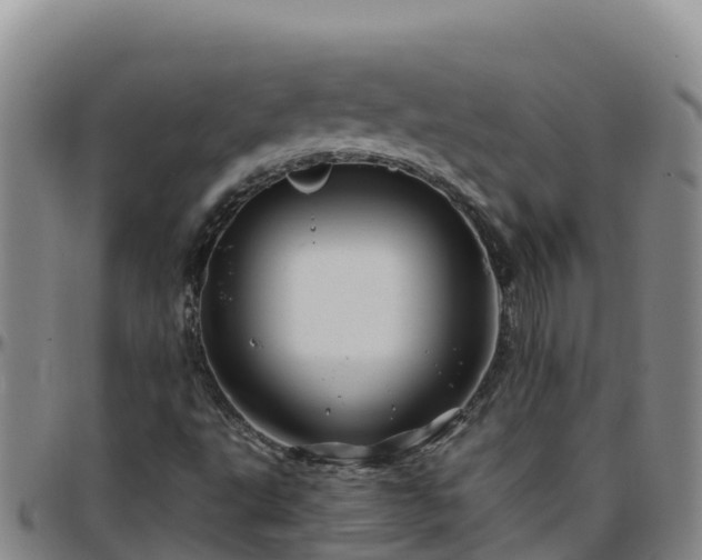 X0000096461495200801311501