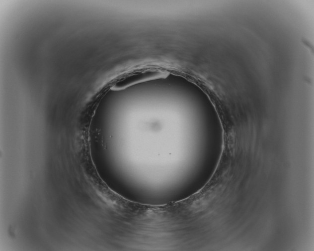 X0000096461496200801311501