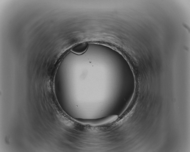 X0000096461497200801311501