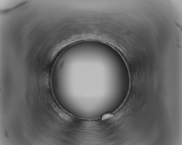 X0000096461499200801311501