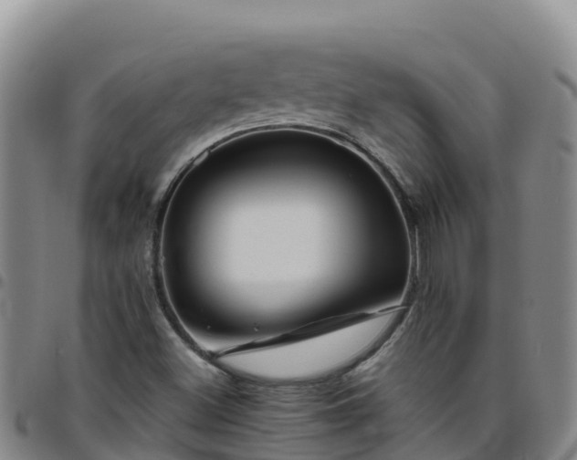 X0000096461500200801311501