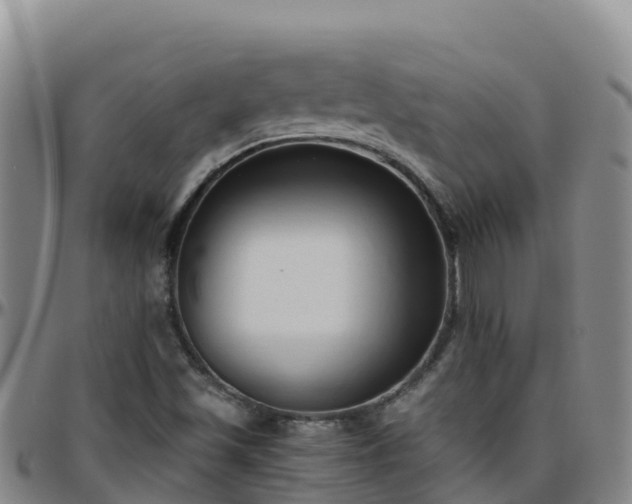 X0000096461501200801311501