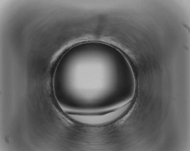 X0000096461502200801311501