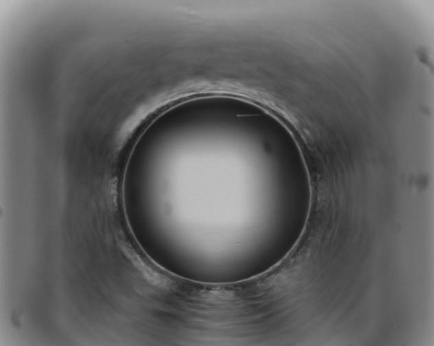 X0000096461503200801311501