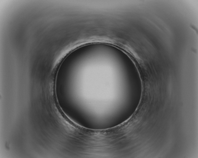 X0000096461504200801311501