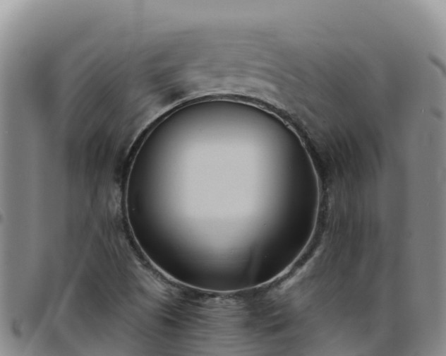 X0000096461505200801311501