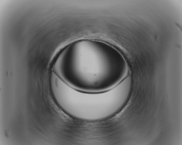 X0000096461506200801311501