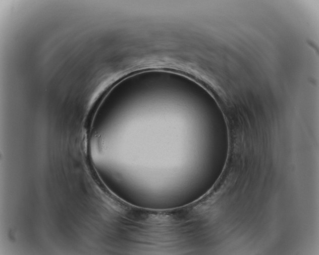 X0000096461509200801311501