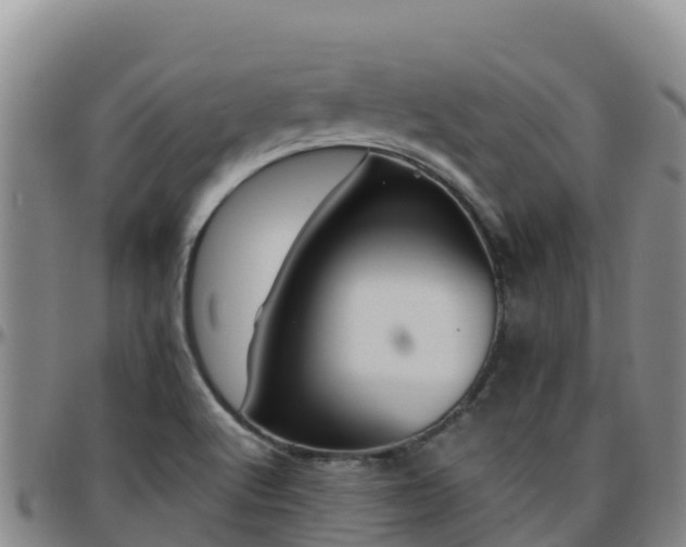 X0000096461512200801311501