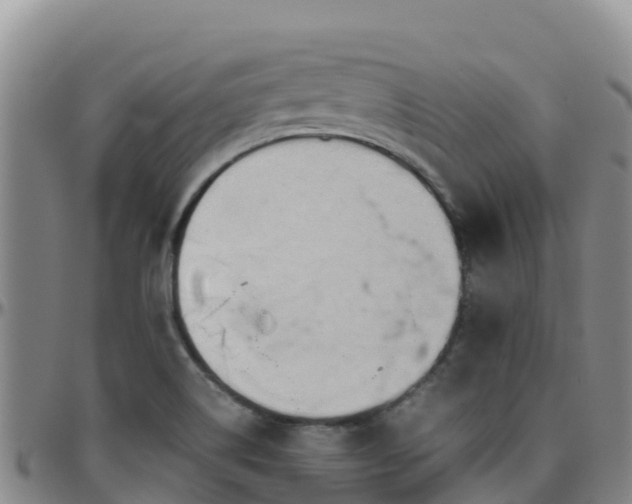 X0000096461514200801311501