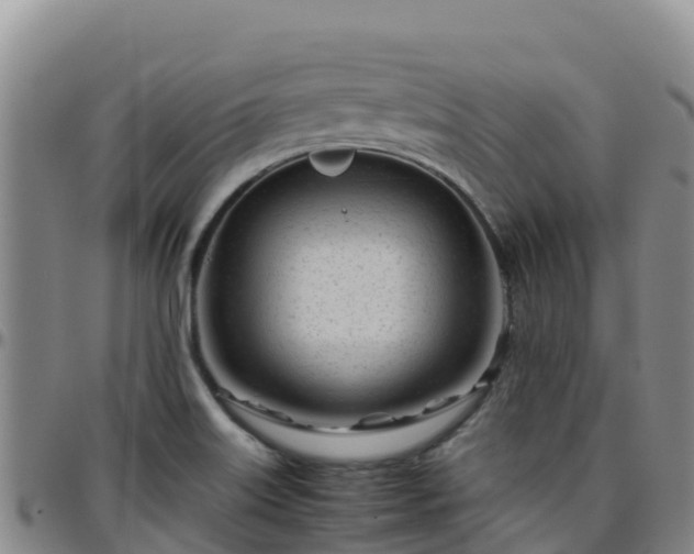 X0000096461515200801311501