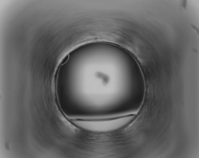 X0000096461516200801311501