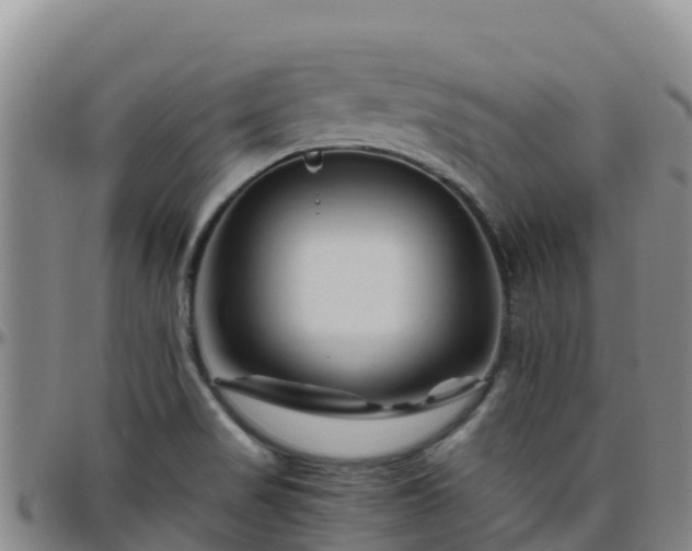 X0000096461517200801311501