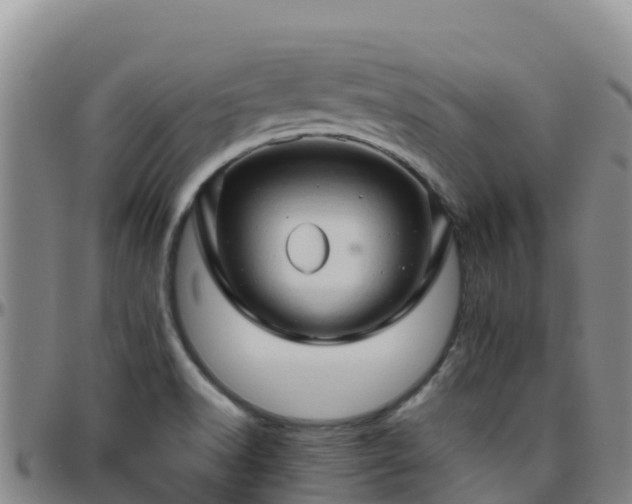 X0000096461518200801311501