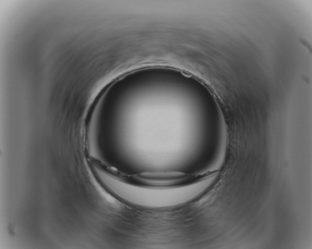 X0000096461519200801311501