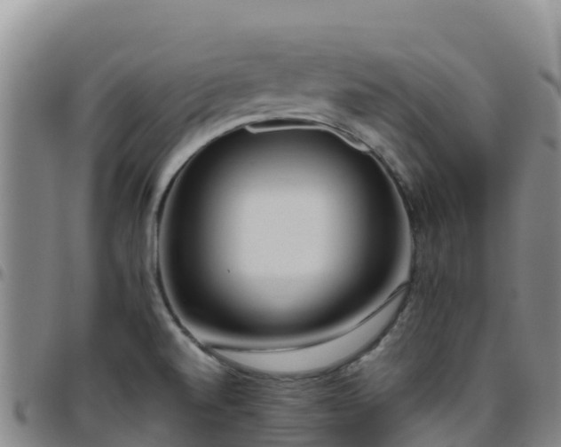 X0000096461520200801311501