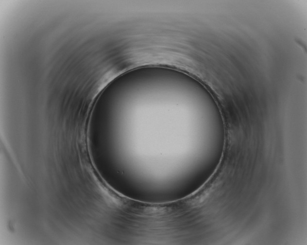 X0000096461521200801311501