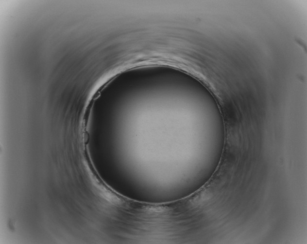 X0000096461522200801311501
