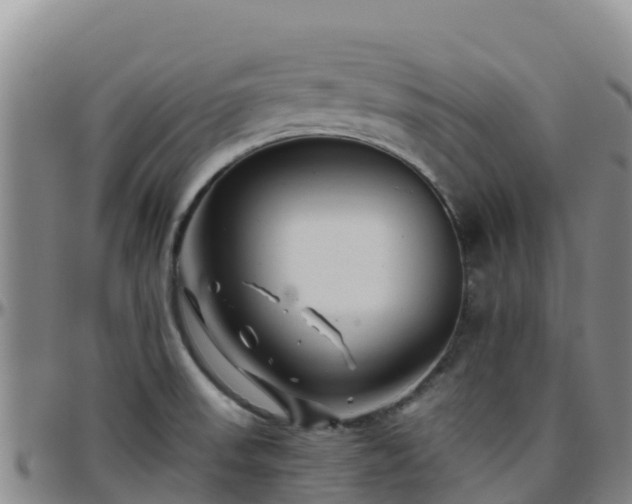 X0000096461523200801311501