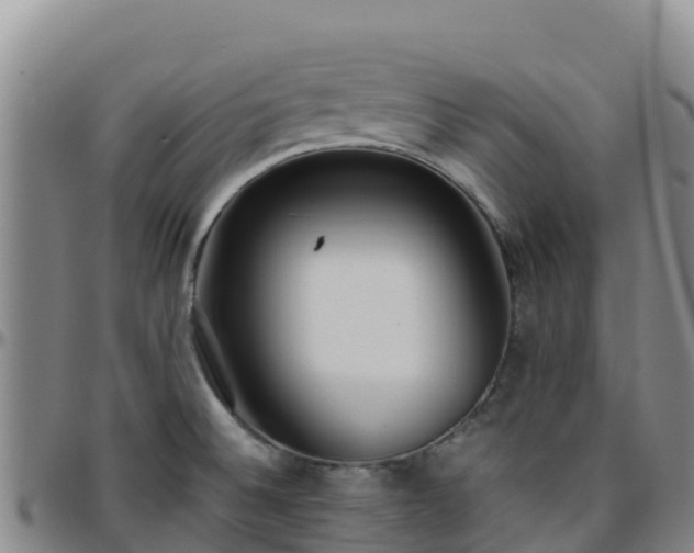 X0000096461524200801311501