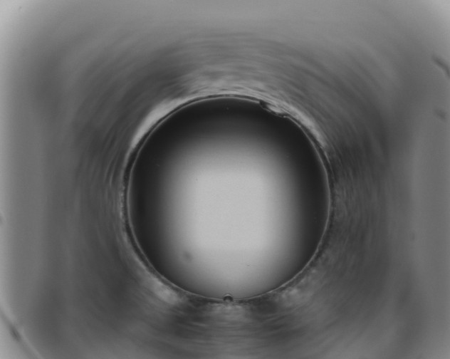 X0000096461525200801311501