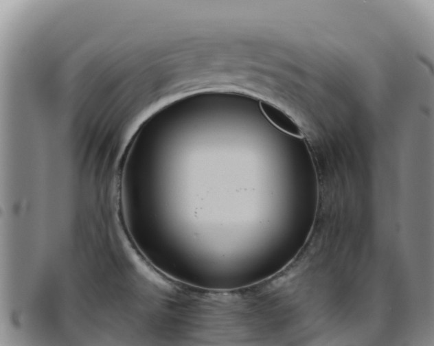 X0000096461526200801311501