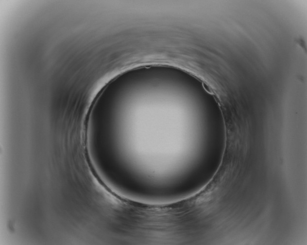 X0000096461527200801311501