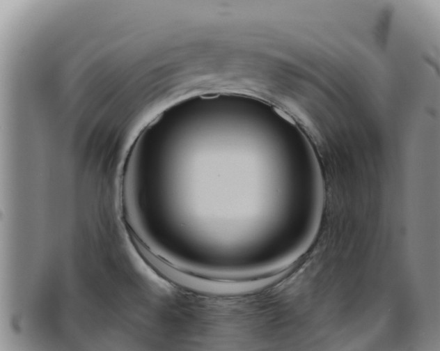 X0000096461528200801311501