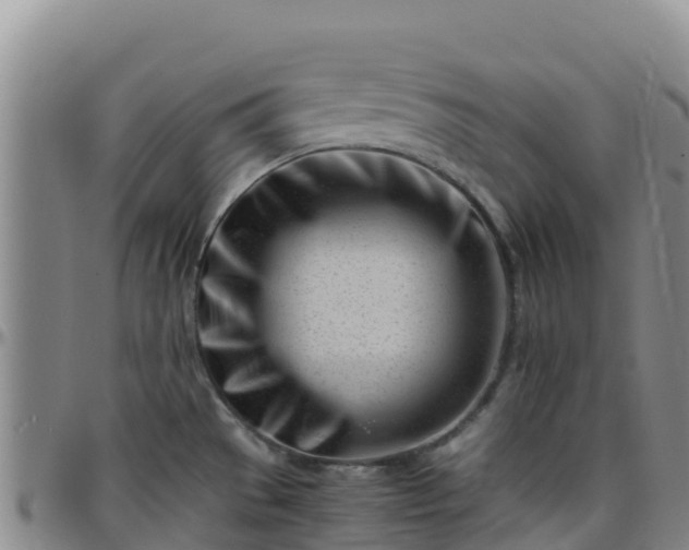 X0000096461529200801311501