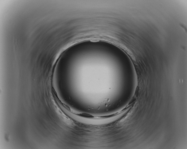 X0000096461530200801311501