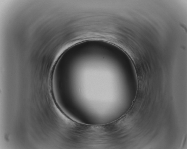 X0000096461531200801311501
