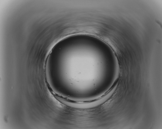 X0000096461532200801311501