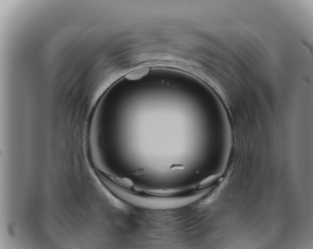 X0000096461533200801311501