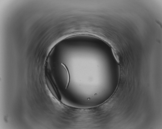 X0000096461534200801311501