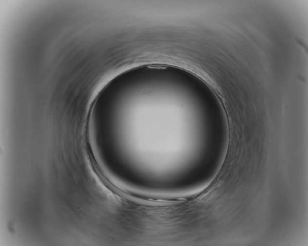 X0000096461536200801311501