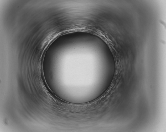 X0000096460002200802071844