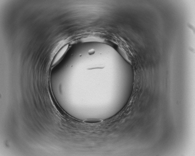 X0000096460003200802071844