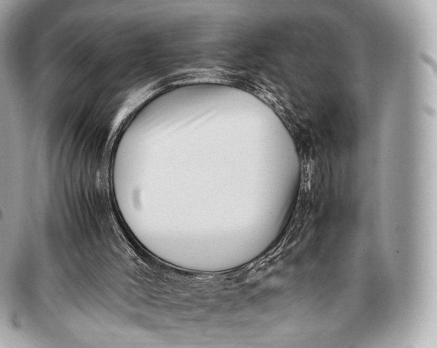 X0000096460004200802071844