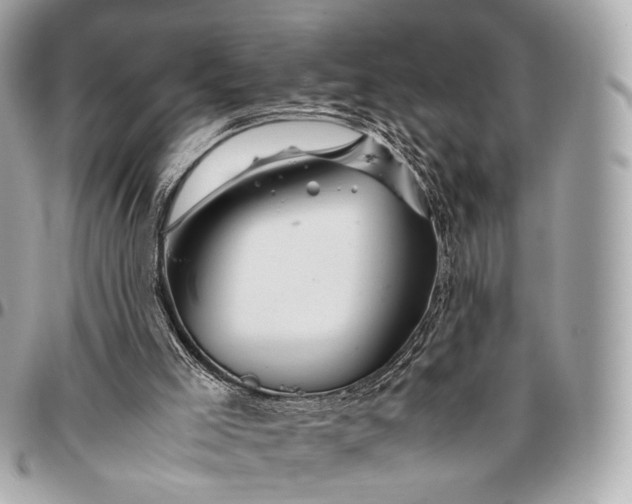 X0000096460005200802071844