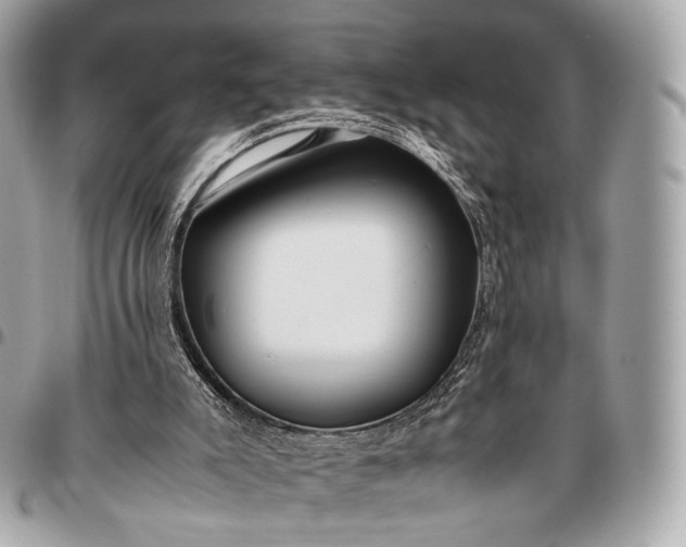 X0000096460007200802071844