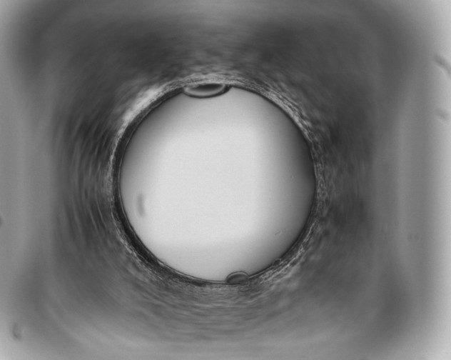 X0000096460008200802071844