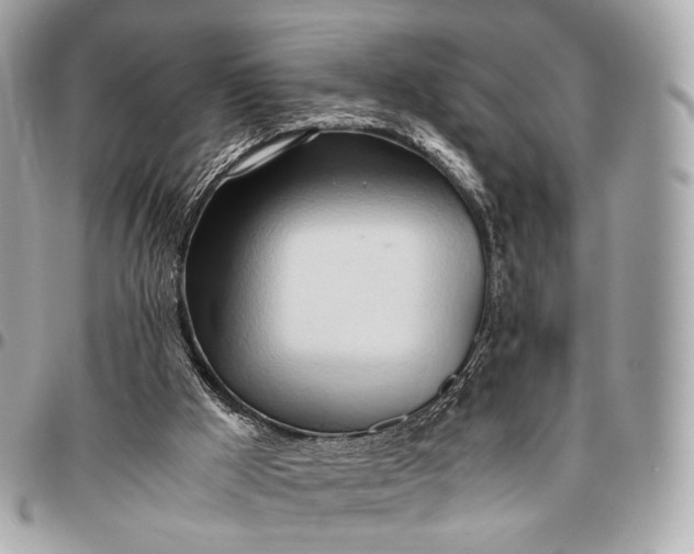 X0000096460009200802071844